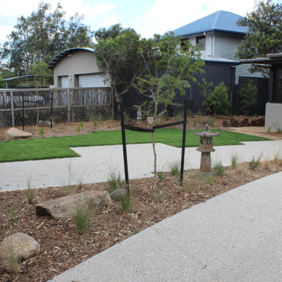 Native garden landscaping