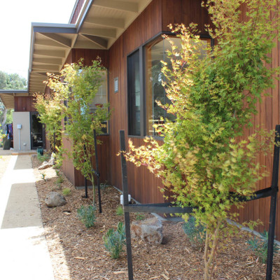 Planting and construction of native garden beds in Barwon Heads