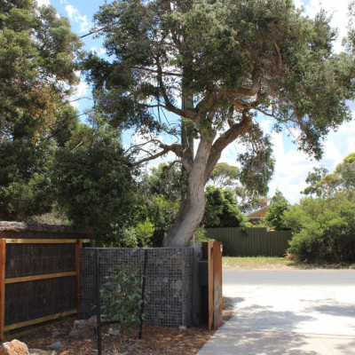 Retaining wall at front of Barwon Heads property