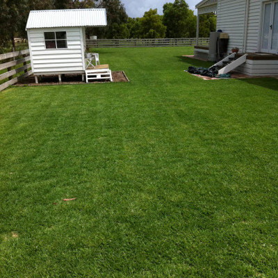 Geelong turf installation and maintenance