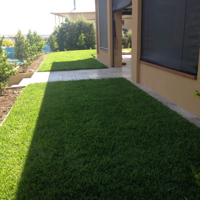 Turf grass installation for house in Geelong