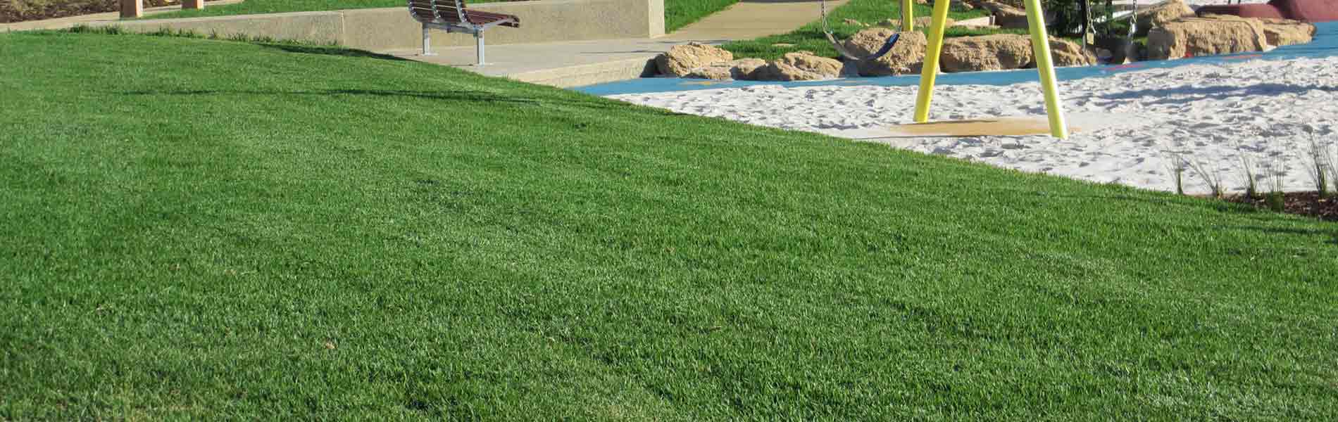 Turf Installation & Maintenance Geelong